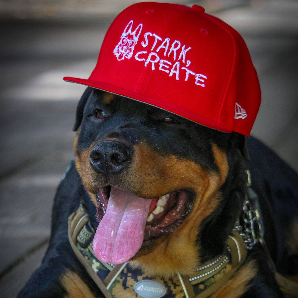 Odi'Bo Wearing a Red Stark Create 59FIFTY Fitted Hat