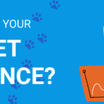 Bright blue graphic with the text “Who is your target audience?” alongside illustrated charts and graphs, accented with playful paw prints.