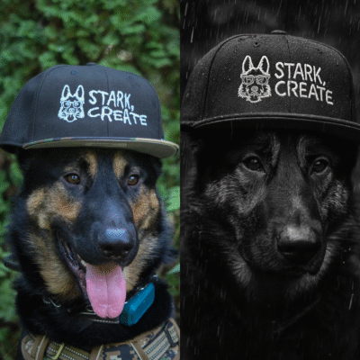Stark Create Dog Mascot Hat Photo German Shepherd wearing a Stark Create snapback hat, one photo in color with tongue out and another in dramatic black-and-white with rain.