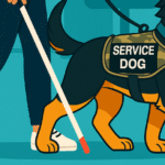 Illustration of a service dog guiding a person with a cane, symbolizing accessibility, independence, and inclusive website design principles.